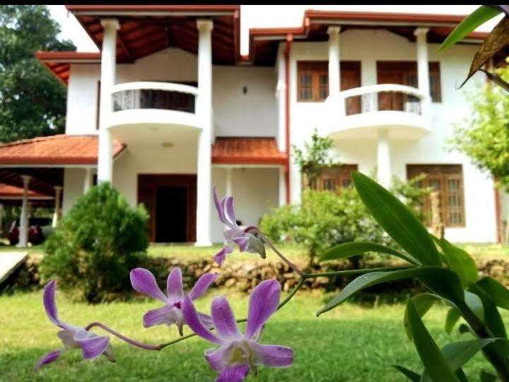 Blue Point Rest Hotel Тангале Екстериор снимка